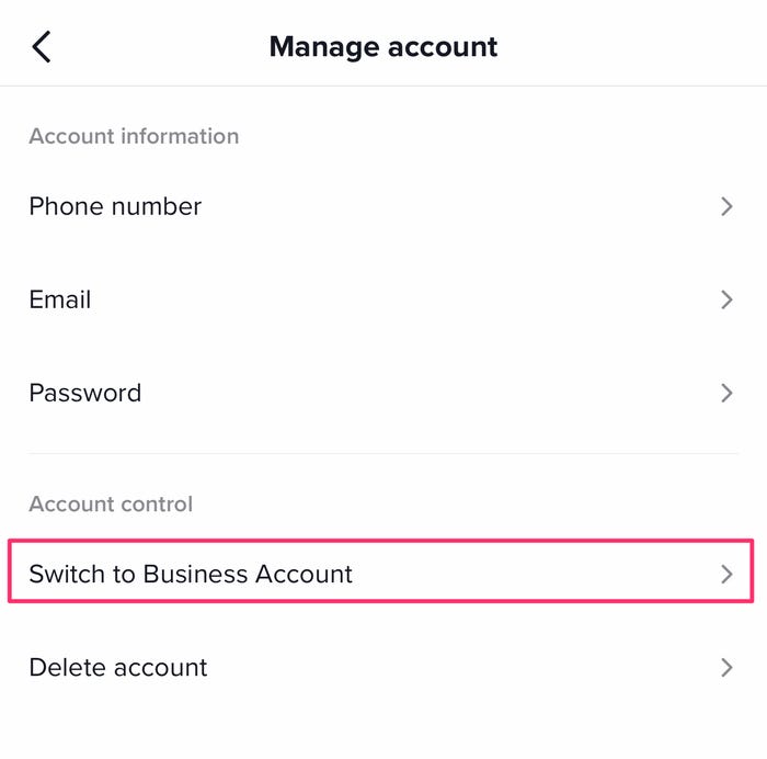 Screenshot of the TikTok account settings with the Switch to Business Account button highlighted.