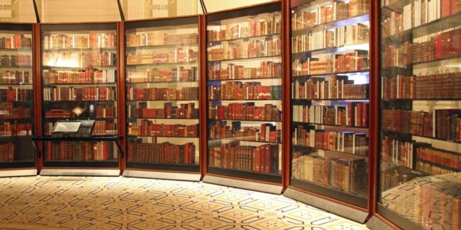 Vista de una biblioteca Descripción generada automáticamente con confianza media