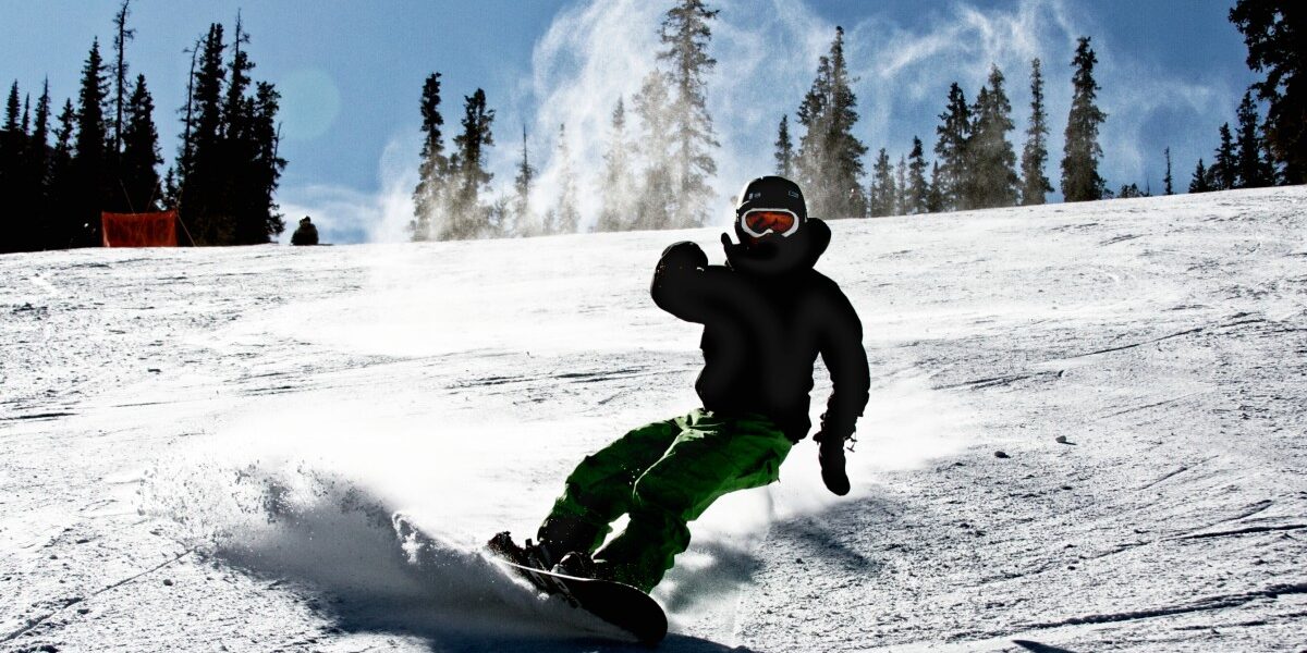 Deportes en la nieve Deportes en la nieve