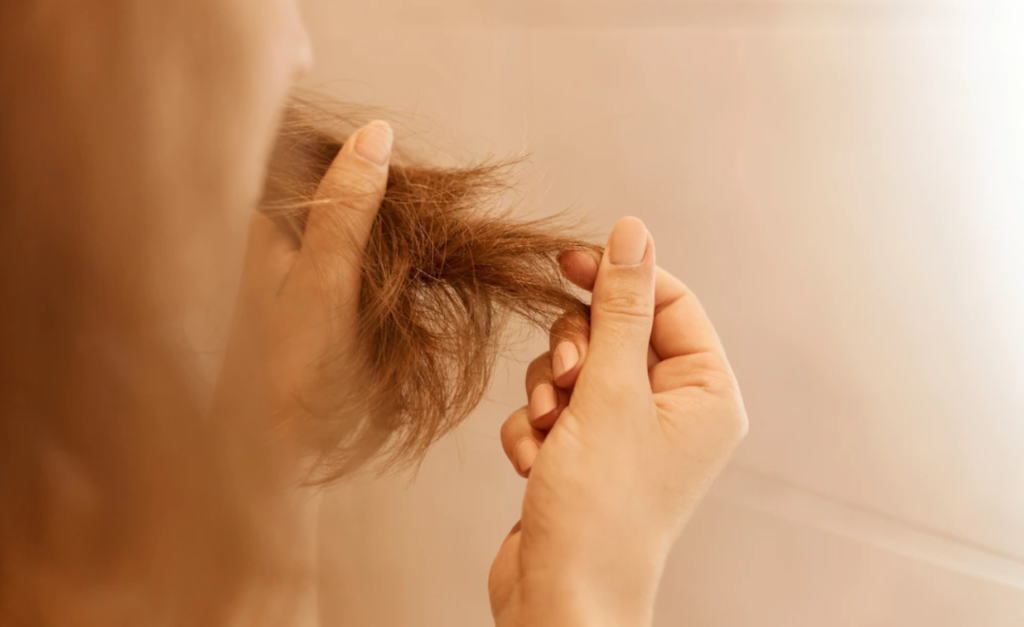 ¿Cuáles son los mejores productos para cabello maltratado?